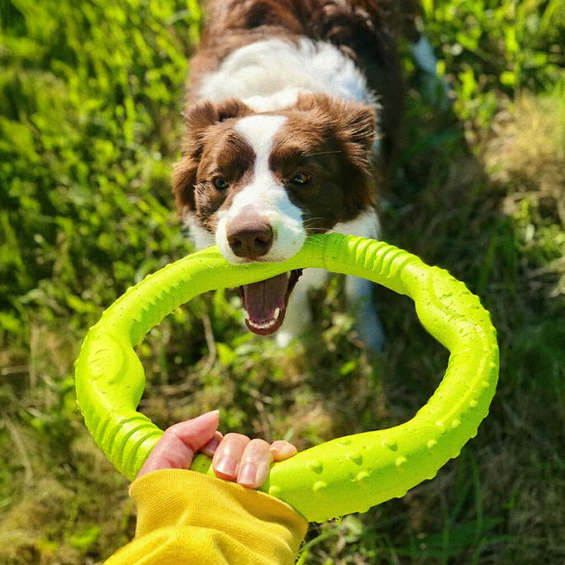 Anel de guerra durável à prova d'água leve flexível brinquedo interativo para cães