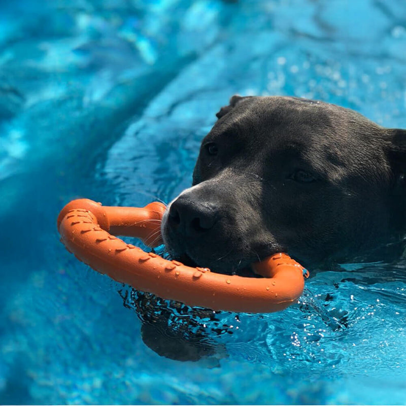 Anel de guerra durável à prova d'água leve flexível brinquedo interativo para cães